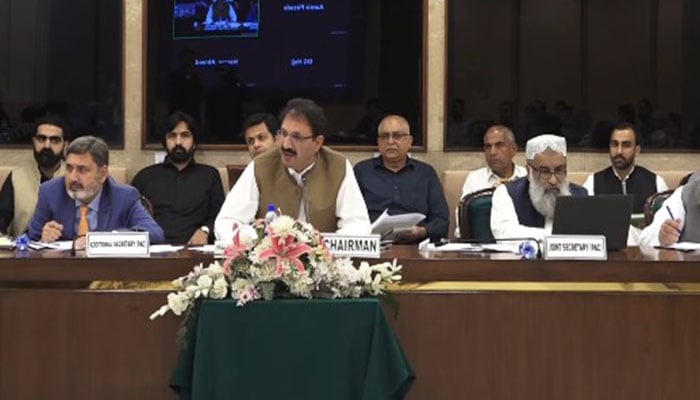 Junaid Akbar presides over a PAC meeting on August 12, 2025. - Facebook@nationalassembliafpakistan