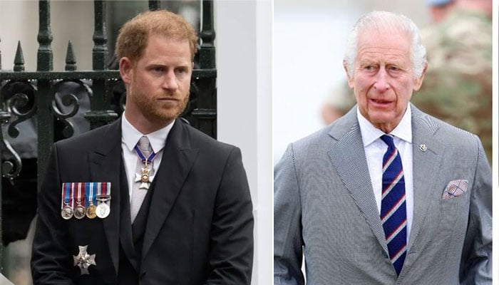 Prince Harry risking his future with Diana's documentary: Report