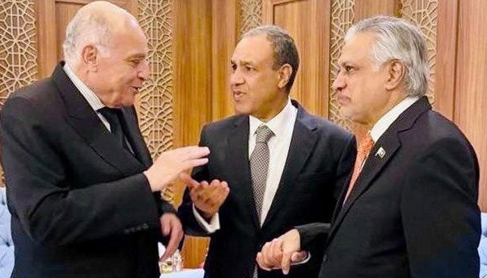 VicePrimer Minister (DPM) and Foreign Minister, Ishaq Dar (right), FM Algerian Ahmed Attaf and his Egyptian counterpart Badr Abdelatty (left). - Application