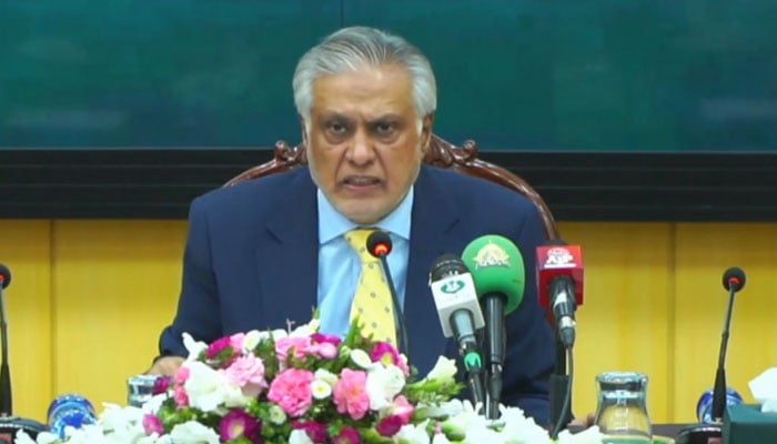 VicePrimer Minister and Minister of Foreign Affairs, Senator Mohammad Ishaq Dar, addressing a press conference on August 29, 2025.