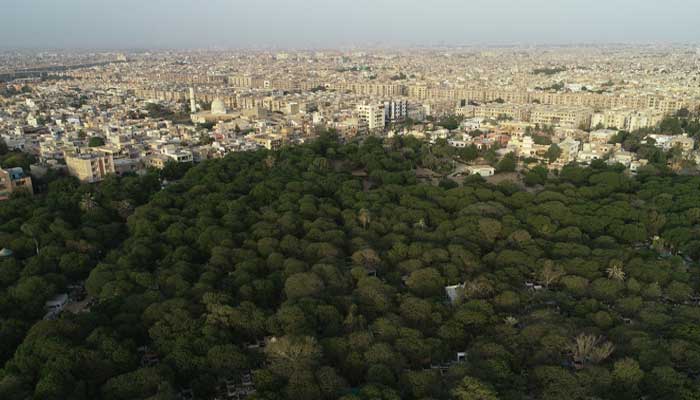 An aerial view shows a green patch of suaadirachta trees indicates on a cemetery with the city at the bottom of Karachi. - Reuters/file