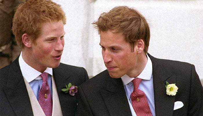 Prince Williams decision about Harry Sparks's reactions
