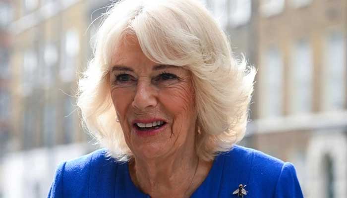 Queen Camilla adds to the problems of King Charles and William after Andrew