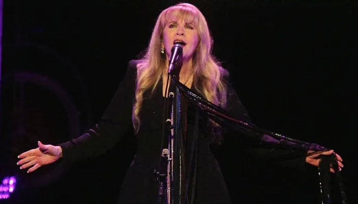 Stevie Nicks Postpon Tour after a painful injury