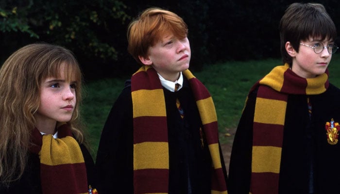 Harry Potter's filmmaker transmits thoughts about new series