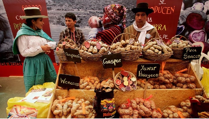 Farmers sell different types of native potatoes of the Andes at the Mistura 2010 Gastronomic Fair in Lima, Peru, September 7, 2010.
