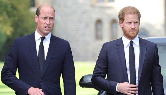 Prince William and Prince Harrys Rift deepens