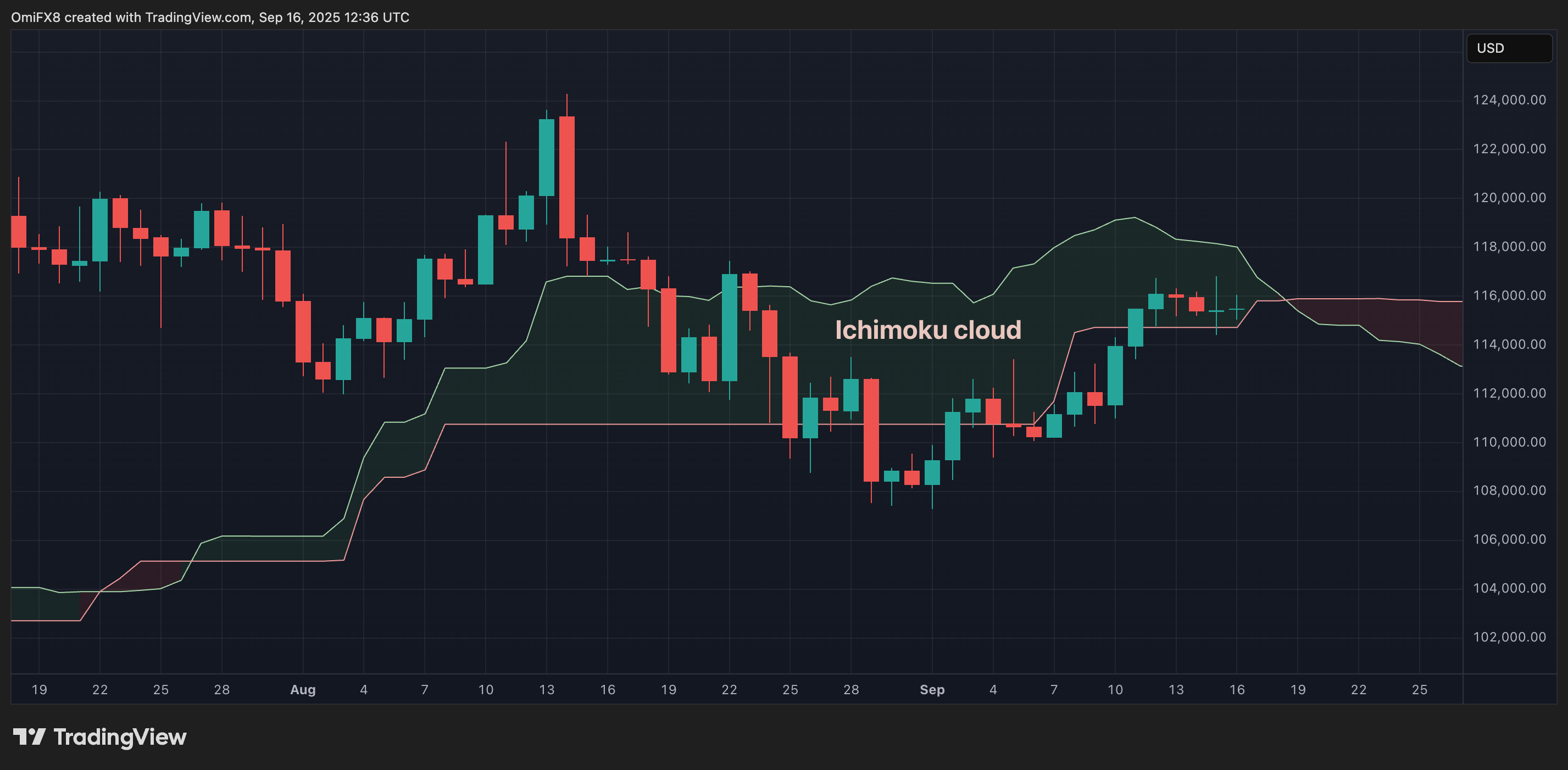 The daily BTC table in candle format. (TrainingView/Coindesk)