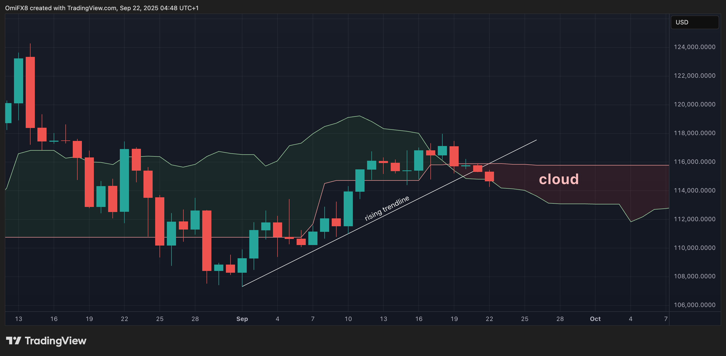 The daily BTC table in candle format. (TrainingView/Coindesk)