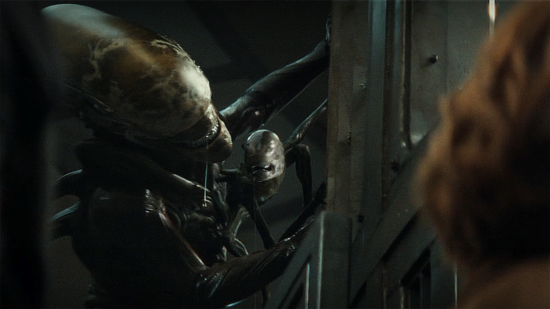 The two xenomorphs hang from the side of a jail cell in Alien: Earth season 1 episode 8