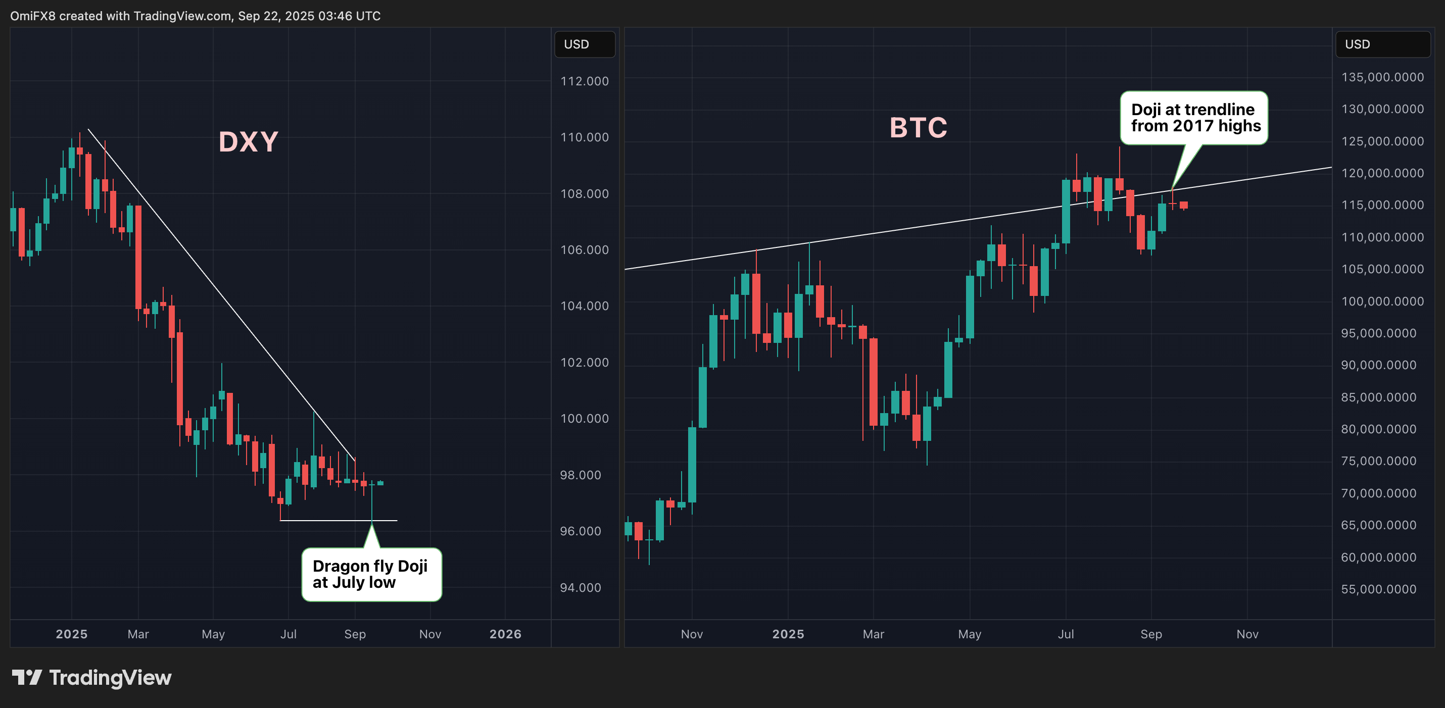 DXY, BTC weekly graphics in candle format. (TrainingView/Coindesk)
