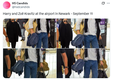 Harry Styles and Zoë Kravitz seen on a rare excursion as romance intensifies