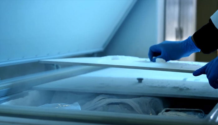 Image of representation of a person who opens a freezer. - Canva