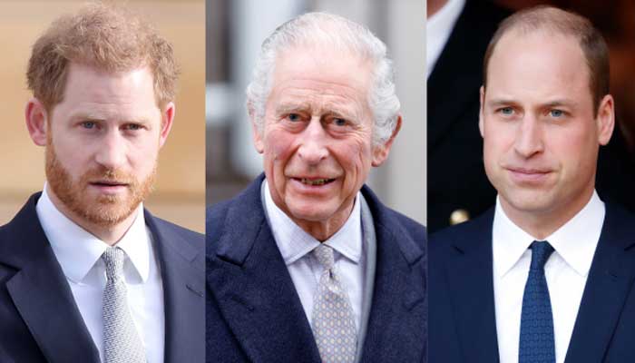 King Carlos and Prince Harry are seen as Prince William describes