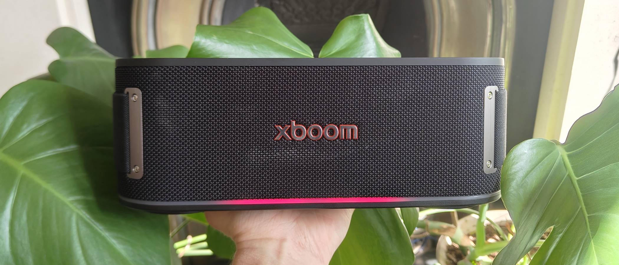 The Xboom LG bounces through a leafy plant on a shelf.