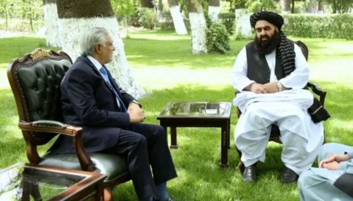 VicePrimer Minister Ishaq Dar (left) at a meeting with Amir Khan Muttaqi, the Minister of Aphician Foreign Affairs, during a visit to Kabul on April 19, 2025. - Brochure Government/Afghanistan