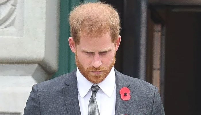 Prince Harry knows that 'he went too far, he wants the old British love