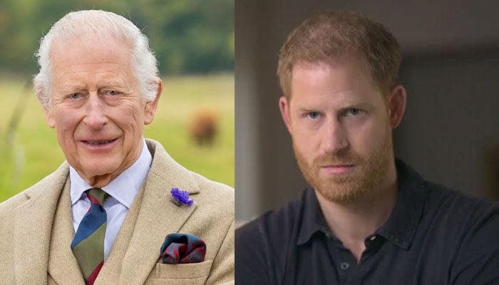 Prince Harry has just caused fears about the future of the monarchy if he is close