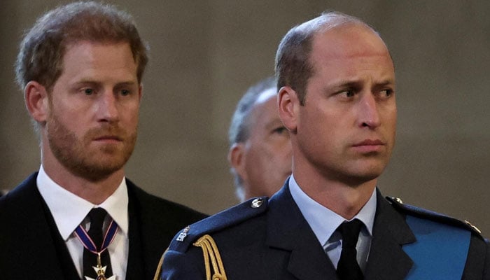 Prince Harrys new comment seen as sliding in Prince William