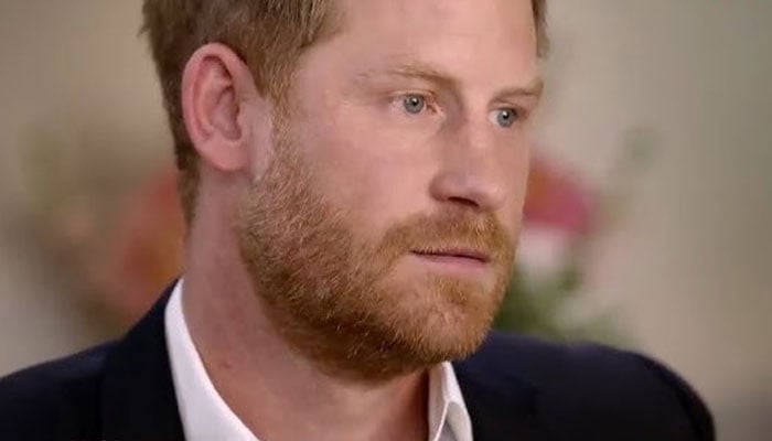 Prince Harry talks about his support to see 'destroyed'