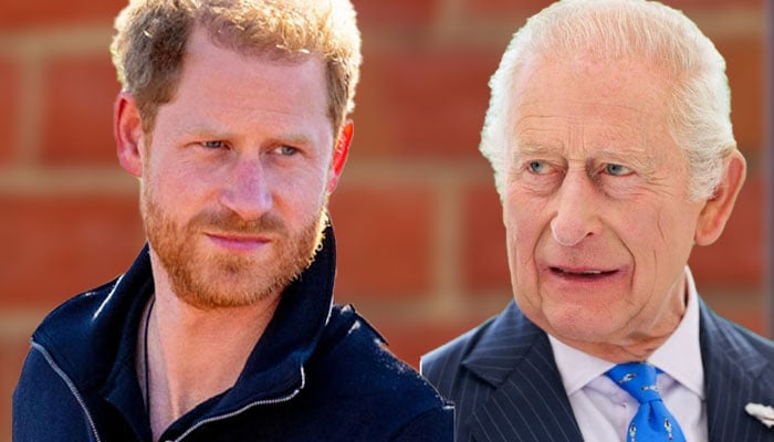 Prince Harry has just received advice on his future opportunities with King Carlos