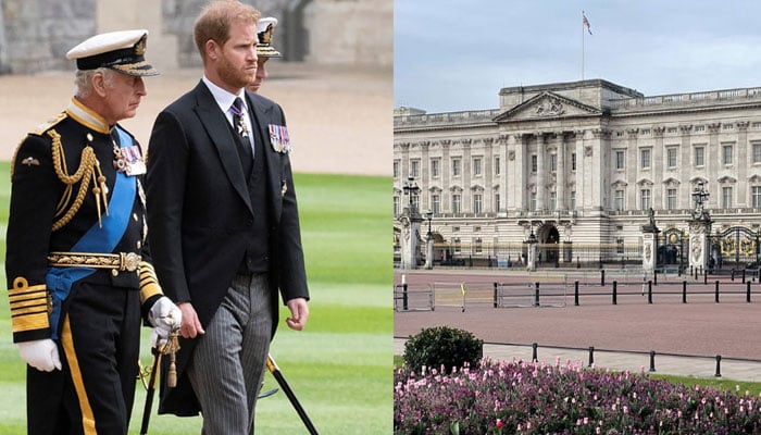 Prince Harry worries in the palace