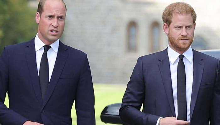 Prince Harrys Ukray's visit deepens the dispute with William