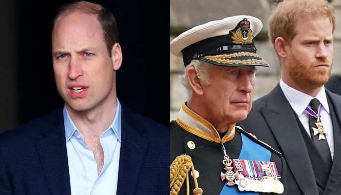 Did Prince William stayed in the dark while King Carlos meets Prince Harry?