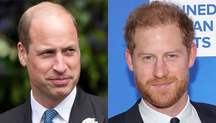 Prince William hesitant to welcome Harry back to the palace