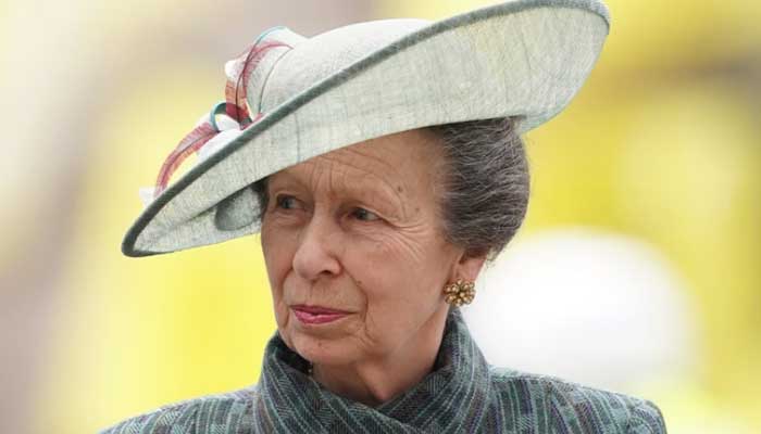 Princess Anne enters Queen Elizabeths shoes during the charity visit