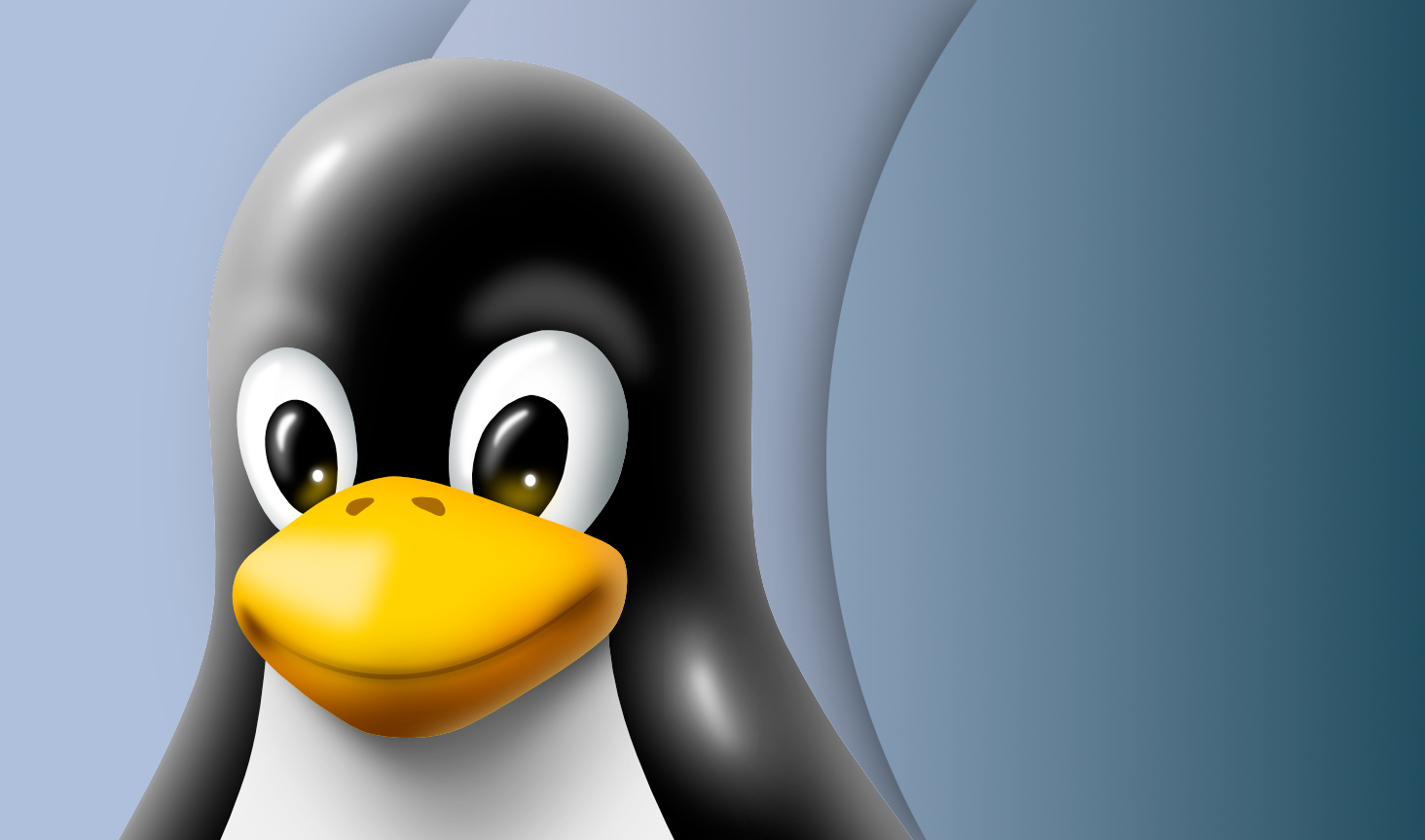 Linux penguin foreground.