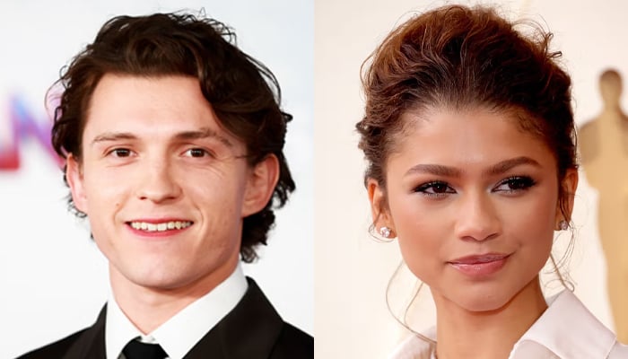 Tom Holland, Zendaya increases home security