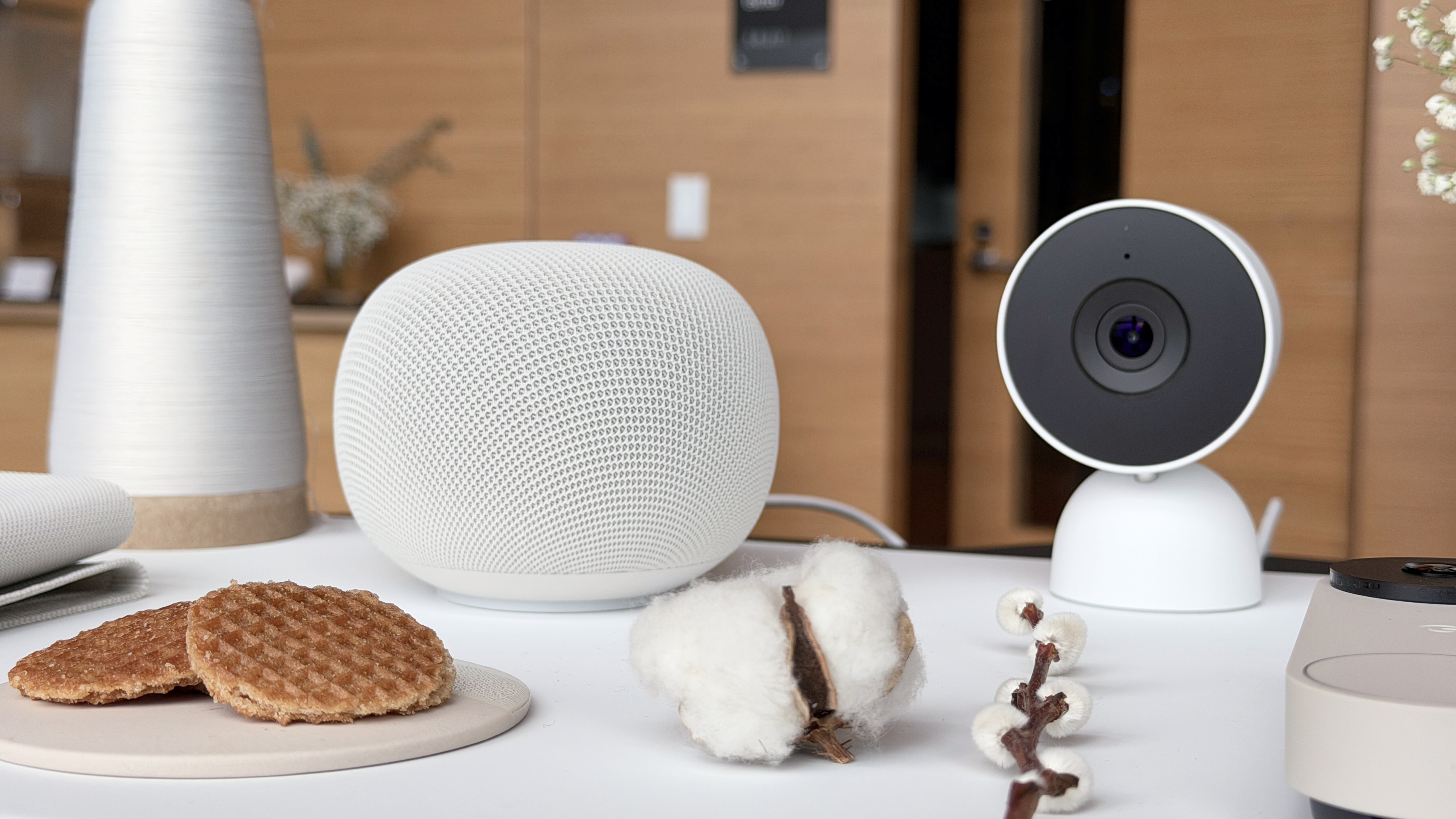Google Home speaker