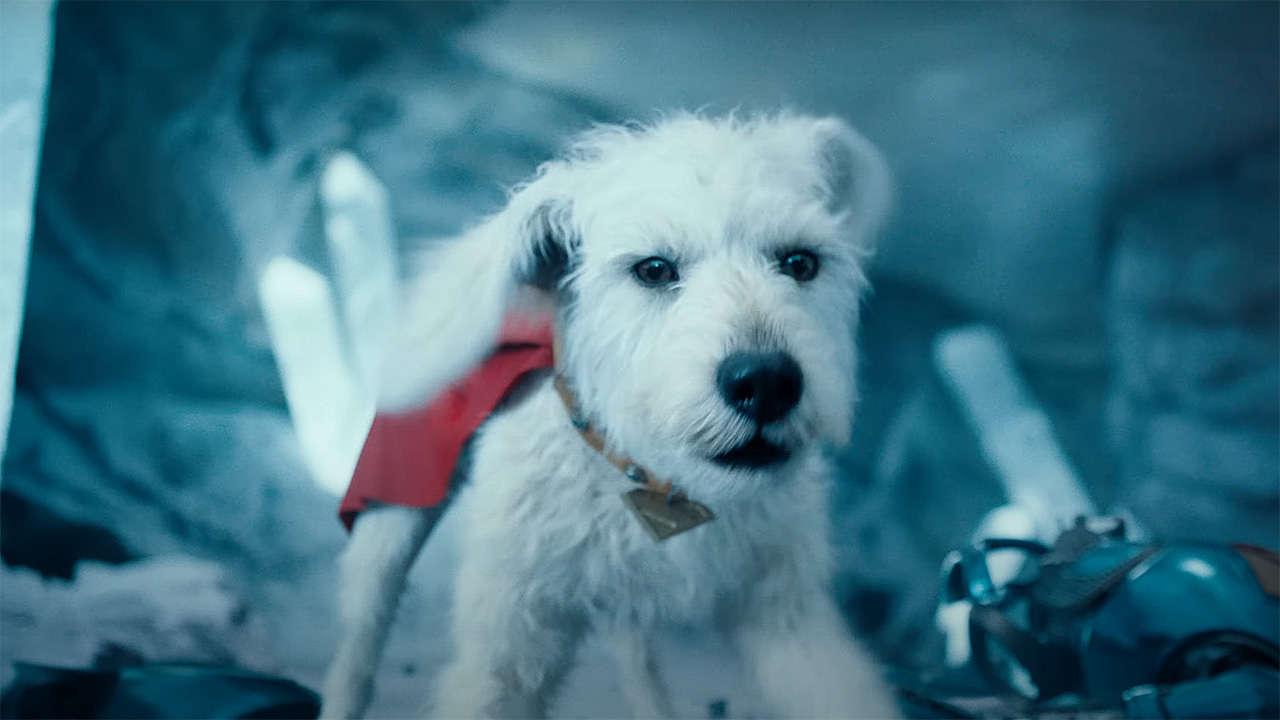 A close -up of Krypto The Sortedog in a battle posture within the strength of Soledad in Superman