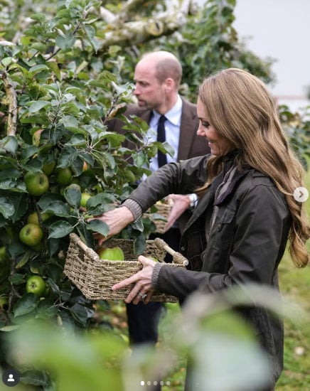 Prince William and Kate gush about the heart of County Orchard in Ireland