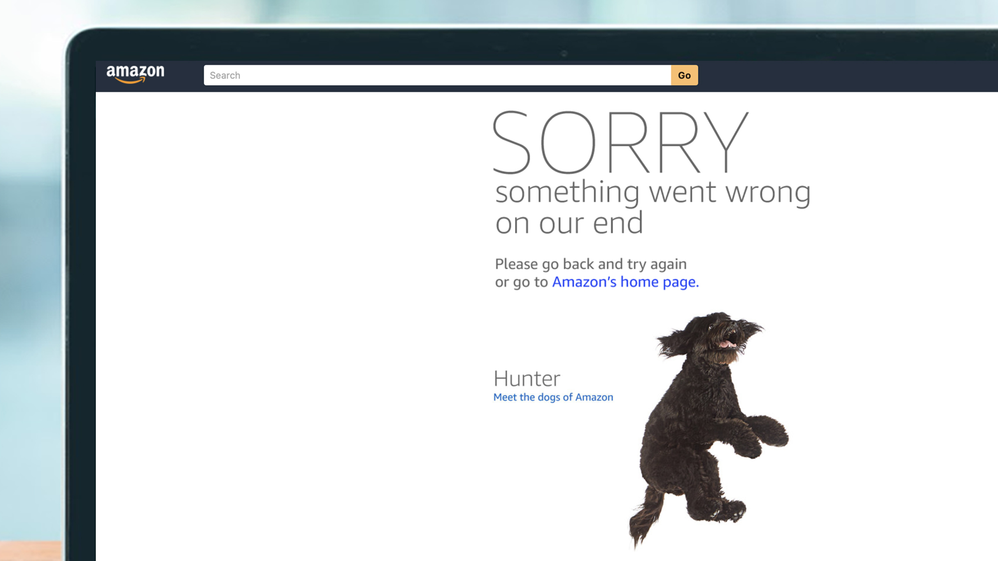 An error page on Amazon with an image of a dog