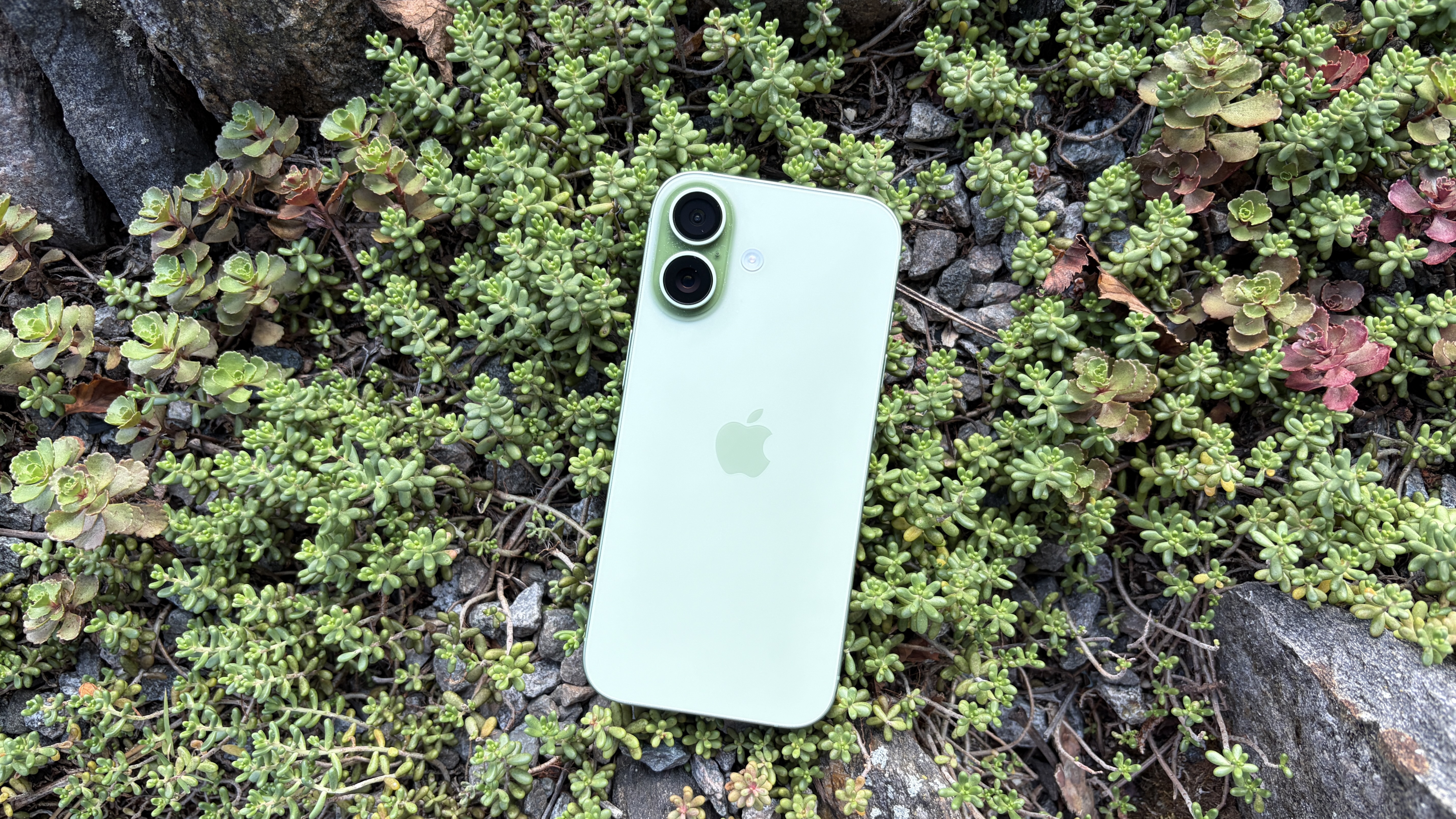 Apple iPhone 17 review