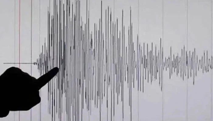 Image that shows a Richter scale reading of an earthquake. - Reuters/file