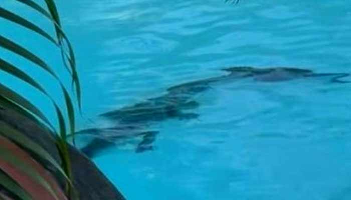 This image shows a crocodile at the bottom of the pool at a luxury Australian resort. —Instagram@kellerdiaries