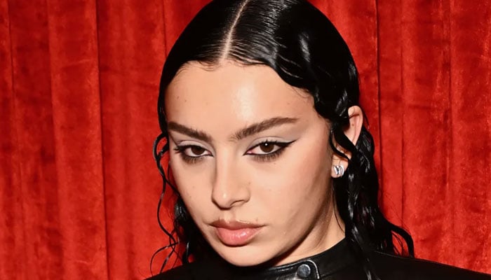 Charli xcx makes statement about public reputation