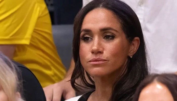 Meghan Markle's next professional step, an expert speaks