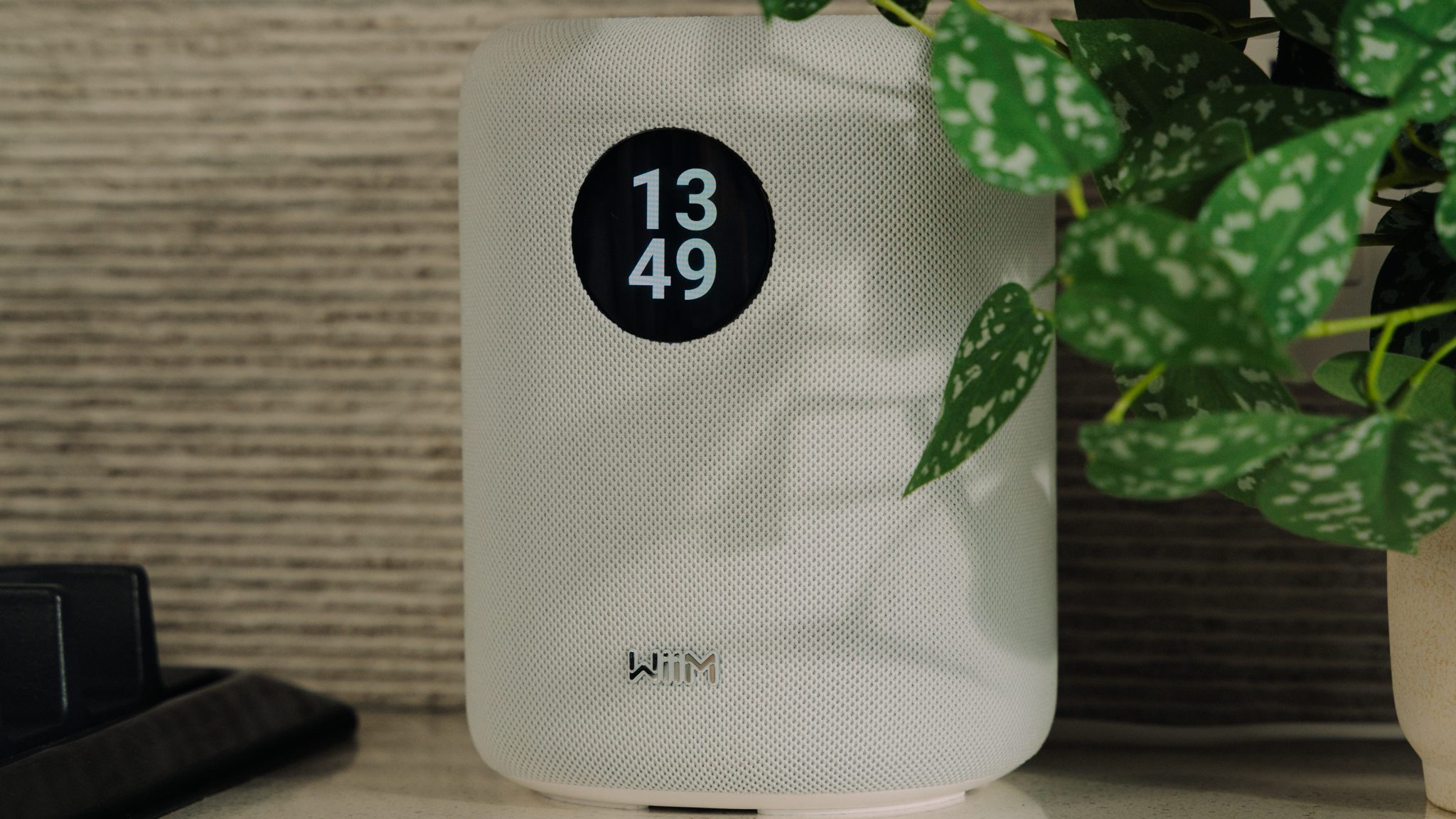 WiiM Sound speaker in white next to a medium-sized flower pot