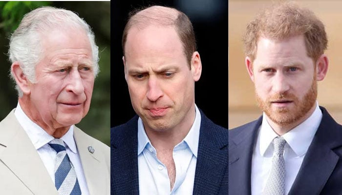 King Charles promises his eldest son something big when it comes to Prince Harry