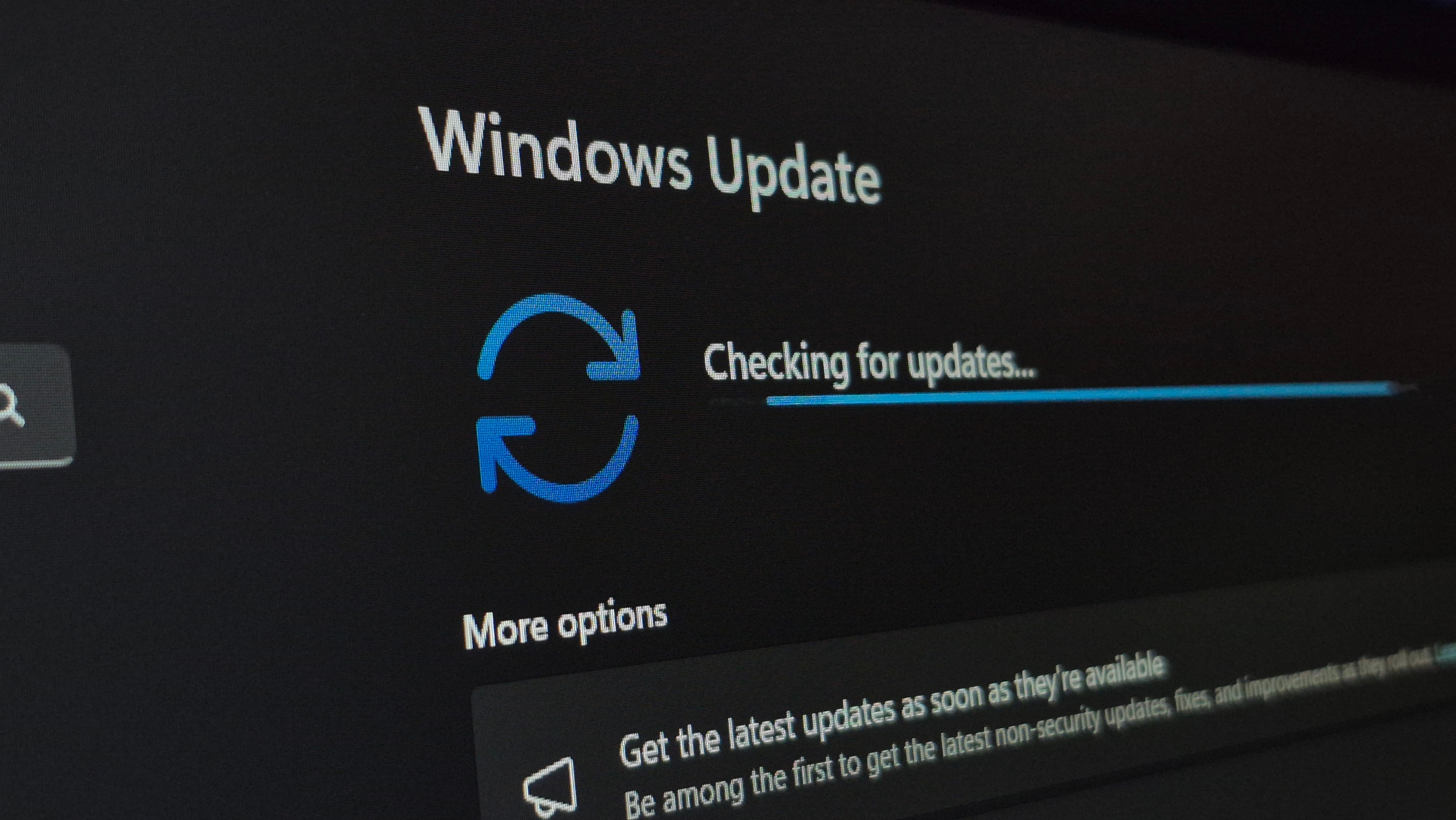 Close-up image of the Windows Update screen on a Windows 11 device checking for the latest updates.