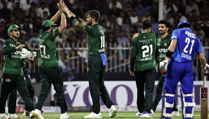 Pakistani players celebrate after taking a wicket during a tri-nation series match against Afghanistan in Sharjah on August 29, 2025. – AFP
