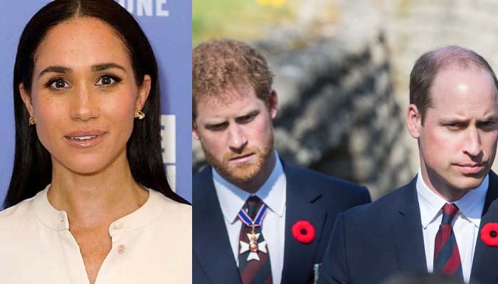 Meghan Markle disrespected Princess Diana's memory with a major move
