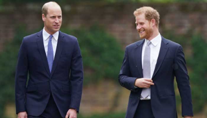 Prince Harry approves of Prince William and Kate's legal victory