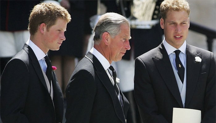 Prince Harry releases statement after strong message from King Charles and William