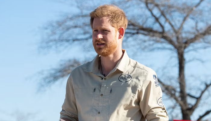 Prince Harry's public defense to meet with King Carlos could climb the tensions
