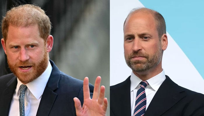Prince William exposes where he meets Prince Harry in the middle of his crack